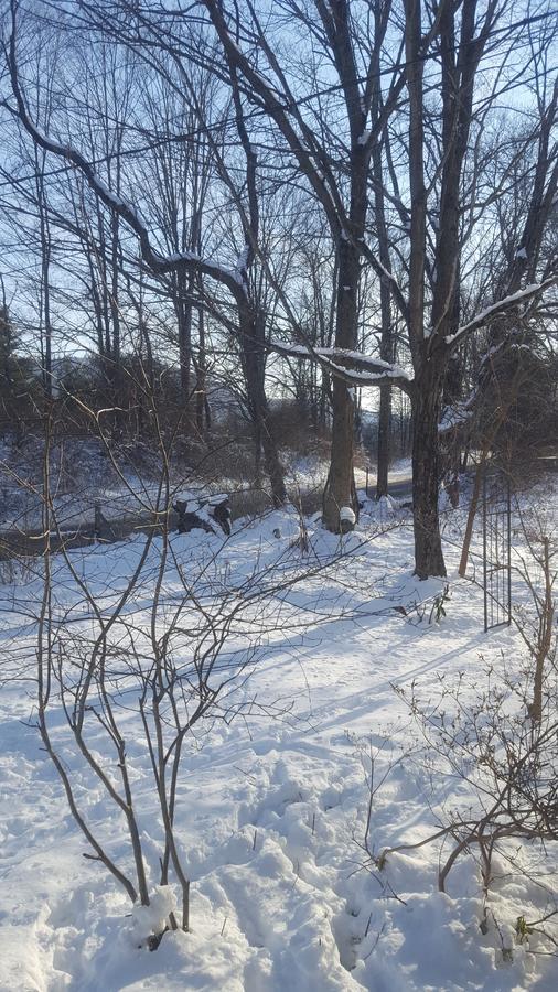 Lakeville A Meadow House Bed & Breakfast エクステリア 写真